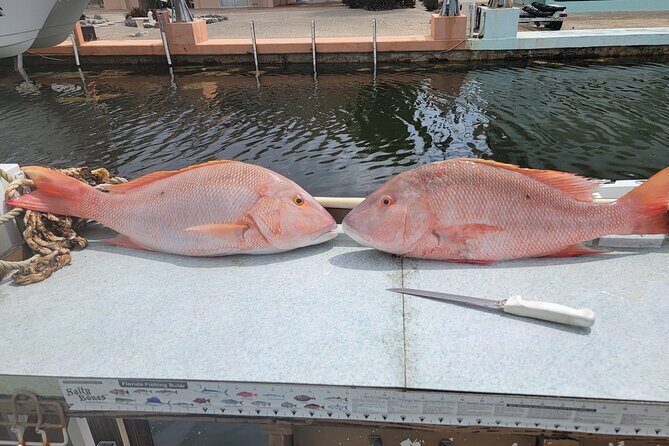 Marathon Florida Keys Fishing Experience - 4- to 6-Hour Nearshore Fishing: Atlantic or Gulf, Depending on the Trip
