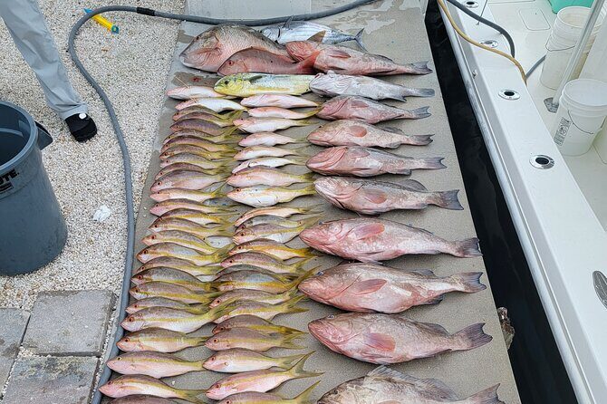Marathon Florida Keys Fishing Experience - The On-Water Flow: From Lines in to Fish on Ice