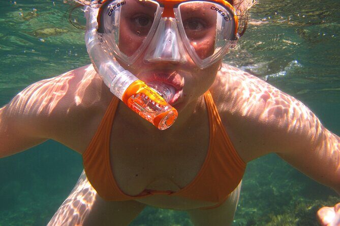 Marathon Key: 3-hour Snorkeling adventure on a Pontoon at Sombrero Reef - Kids, food, and dolphin odds: making the day work for your group