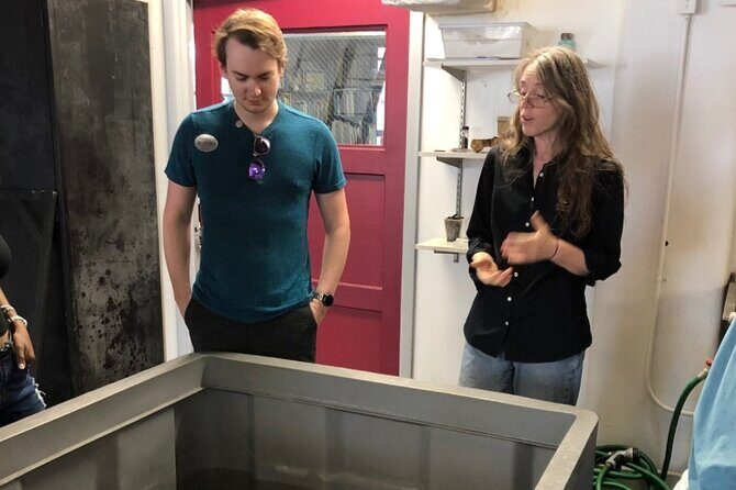 Mel Fisher Maritime Museum Admission Ticket - Conservation and Lab Tours: Seeing History Under Scientific Care