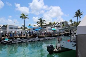 Miami: Key West Boat Tour w/ Optional Snorkeling & Open Bar - Snorkeling at the largest mainland coral ecosystem: what you’re really paying for