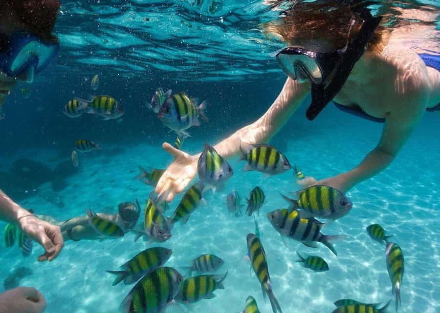 Miami to Key West Day Trip with Optional Activities - The Florida Keys Drive: Why the Bus Ride Feels Worth It