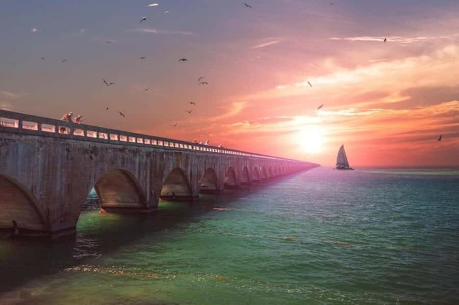 Miami to Key West Day Trip with Optional Activities - Should you book this Miami to Key West day trip?
