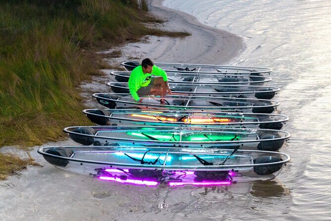 Night Glow Kayak Paddle Session in Key West, FL - Reading the Glow: How Wildlife Spotting Works Here