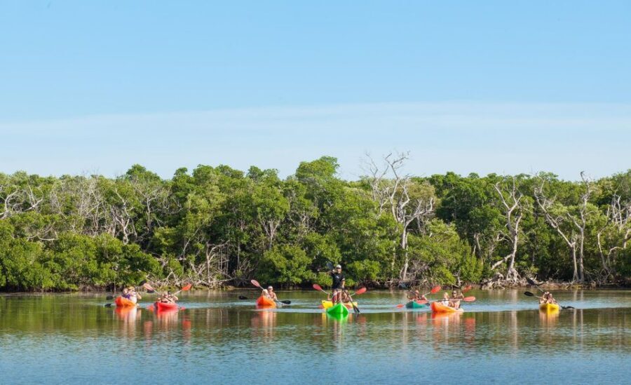 Premium Day Sail, Snorkel &, Kayak with Lunch - How the Crew Coaches Snorkeling and Kayaking (No Prior Experience Needed)