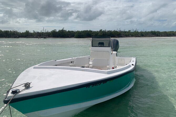 Private Boat Tour to Sand Bar Snorkel Dolphins and Sunset - Should You Book This Private Dolphin and Sandbar Tour?