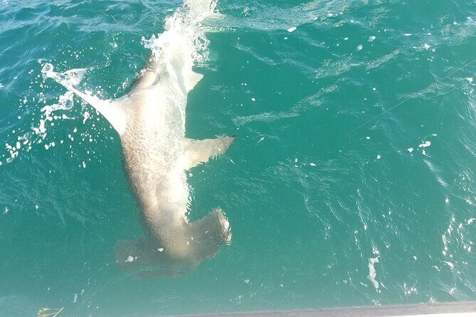 Private Fishing Charter Florida Keys - Instruction Included: The Difference Between Trying and Doing