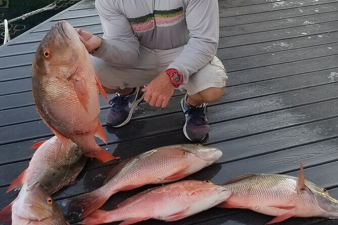 Private Fishing Charter Florida Keys - Value Breakdown: Is $800 Worth It?