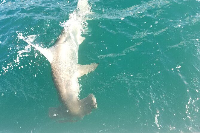 Private Fishing Charter Florida Keys - What to Bring (Because Food Isn’t Included)