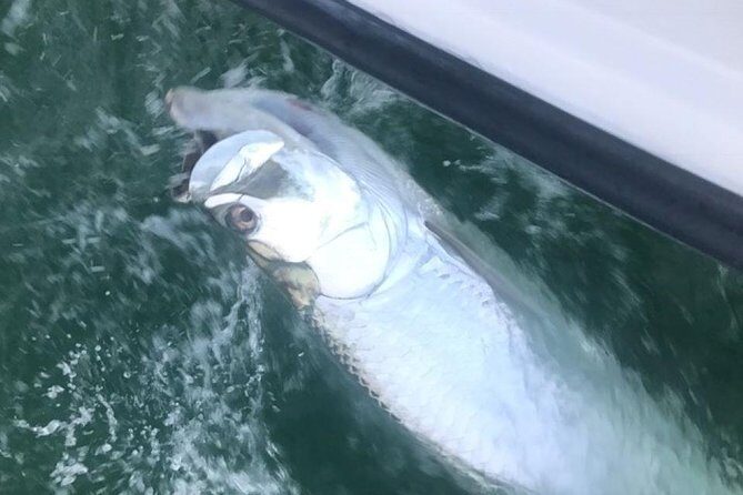 Private Fishing Charter from Ramrod Key - Gear, bait, and what to bring so you’re comfortable