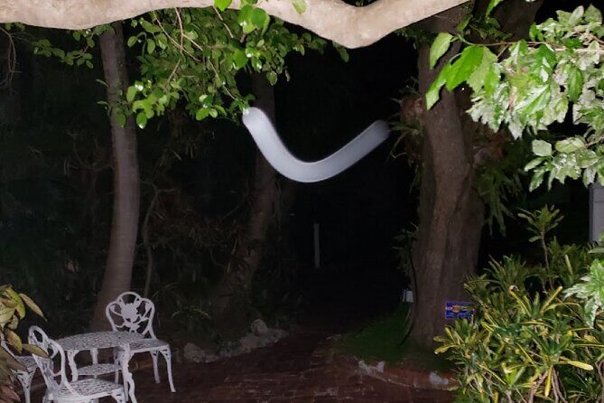 PRIVATE Key West Haunted History Walking Tour - Start at Bearded Lady, End Near Duval and Green