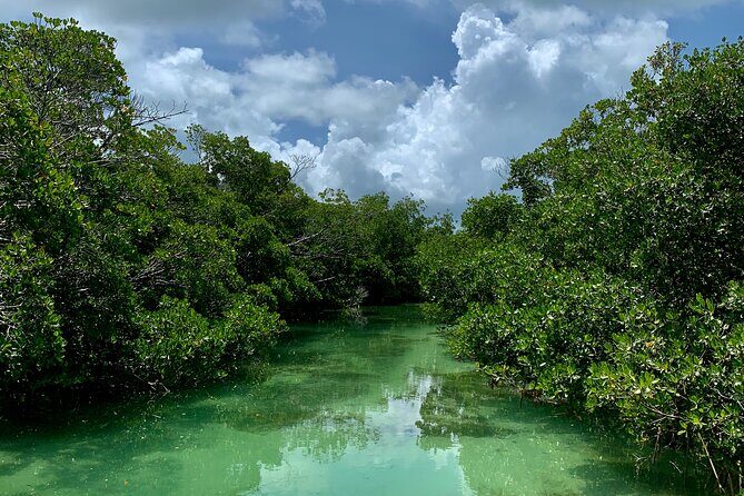 Private Key West Sandbar and Paddle by Boat - Meeting Point and Timing: How to Keep the Start Smooth