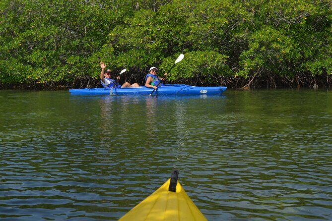 Private Key West Sandbar and Paddle by Boat - The Guides and the Group Vibe: Why It Feels Tailored