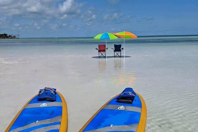 Private Key West Sandbar and Paddle by Boat - Dogs Welcome, and That Changes the Feeling of the Day