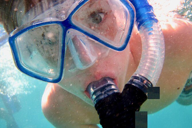 Private Looe Key Snorkel from Big Pine Key - Key things that make this snorkel trip worth your time