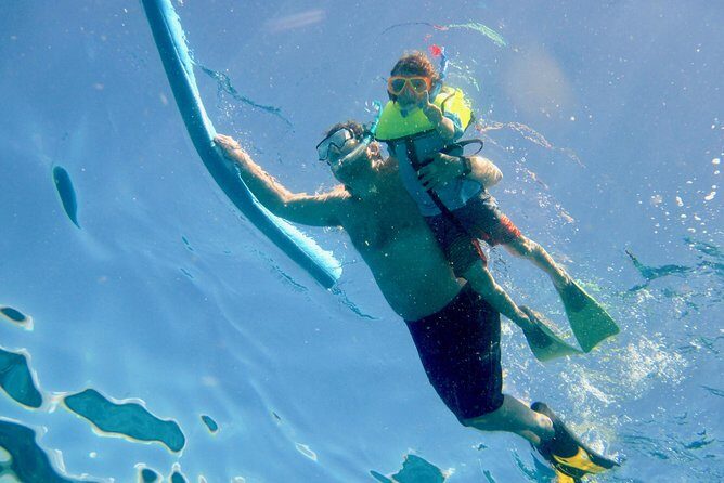 Private Looe Key Snorkel from Big Pine Key - Marine life odds: what you should expect to see