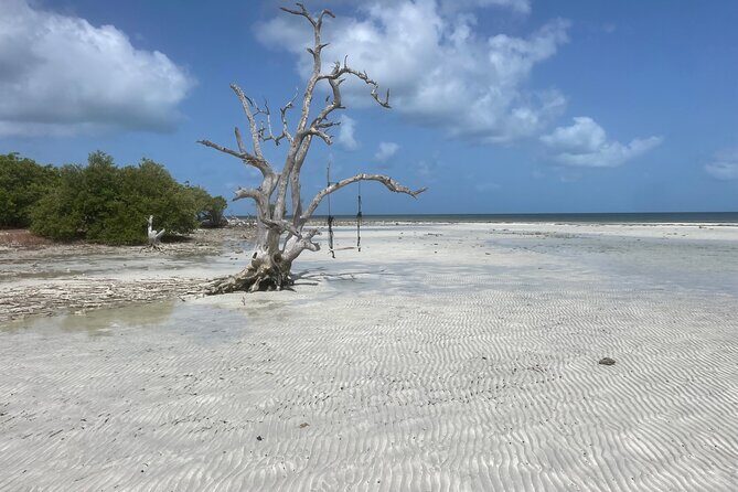 Private Sandbar Adventure in Key West Backcountry - When This Fits Best (and Who Might Want a Different Plan)