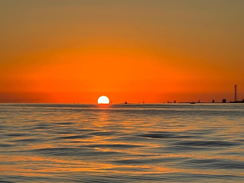Private Sunset Cruise - Wildlife spotting on open water: what you should watch for