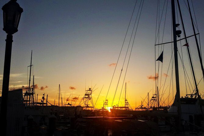 Private Tour of Florida Keys from Marathon to Key West - Price and value: what $137 buys you (and when it’s a smart deal)