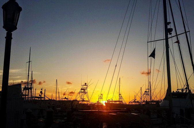Private Tour of Florida Keys from Marathon to Key West - What to watch for: the main trade-offs before you book