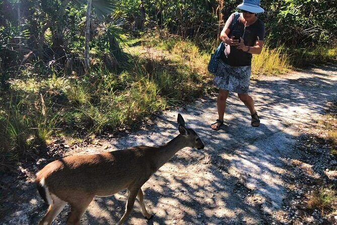 Road Trip through the Lower Keys Audio Tour - Should You Book the Lower Keys Audio Tour for $8?