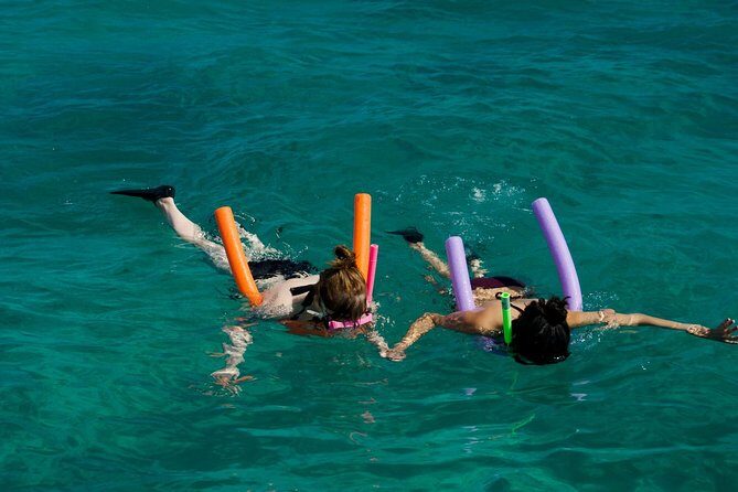 Shallow Water Snorkeling and Dolphin Watching in Key West - Catamaran Echo sailing: why this small-group setup feels better