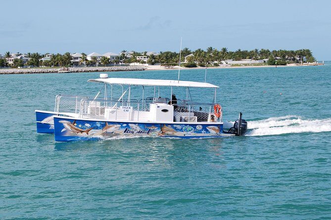 Shark and Wildlife Viewing Adventure in Key West - Mangroves and Shallow-Water Stops for Real Photo Ops