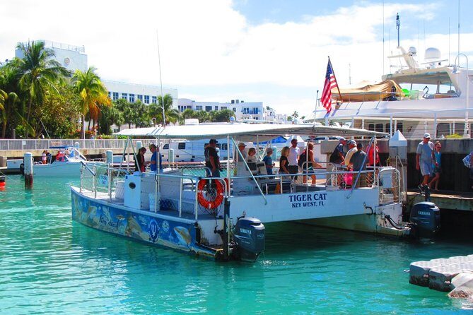 Shark and Wildlife Viewing Adventure in Key West - The Shark Zone: What Happens When the Bait Hits the Water