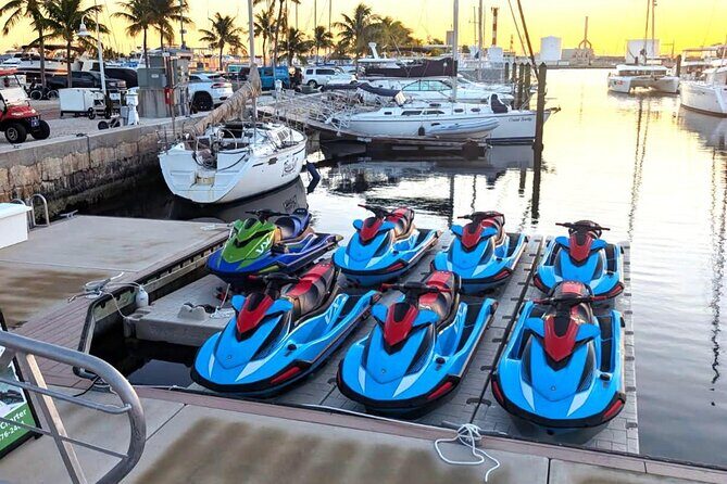 Six Fins Jet Ski Adventure – The Only 2-Hour Tour in Key West - Wildlife Viewing in the Florida Keys National Marine Sanctuary