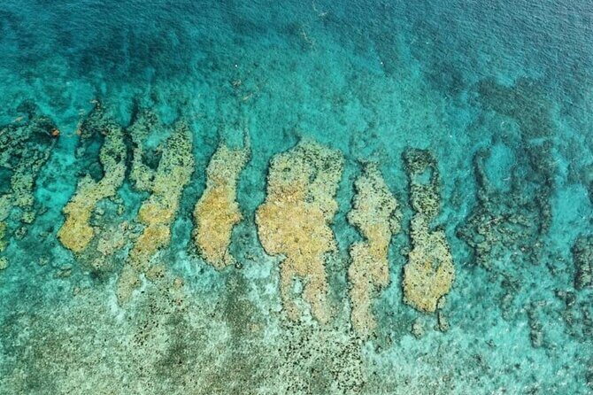 Small Group Key West Snorkel Adventure - Getting to the Reef: How the 4-Hour Plan Works