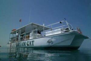 Small Group Key West Snorkel Adventure - Gear, Vests, and Beginner Instructions That Actually Help