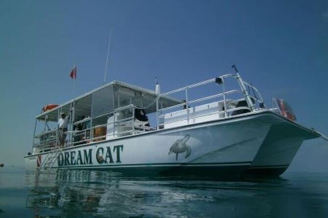 Small Group Key West Snorkel Adventure - Gear, Vests, and Beginner Instructions That Actually Help