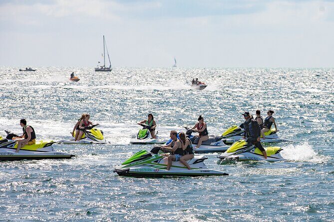 The Original Key West Island Jet Ski Tour from the Reach Resort - Marine life spotting: what you can watch for (and how to handle the uncertainty)
